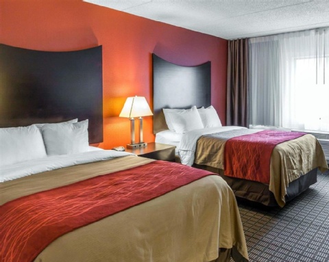 Comfort Inn & Suites BWI Airport , MD 21225 near Baltimore-washington International Thurgood Marshall Airport View Point 21