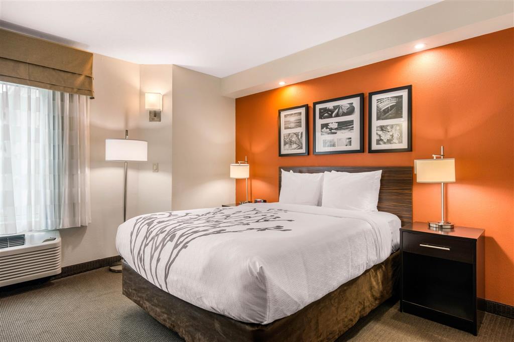 Sleep Inn Clearwater-St Petersburg , FL 33762 near St. Petersburg-clearwater International Airport View Point 19