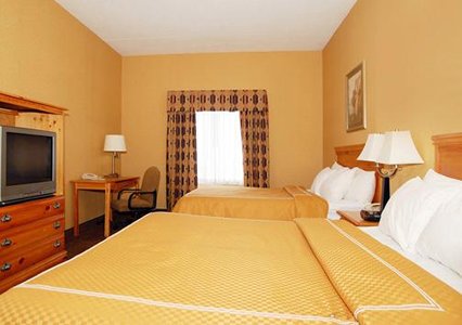 Comfort Suites Airport Louisville , KY 40213 near Louisville International Airport (standiford Field) View Point 2