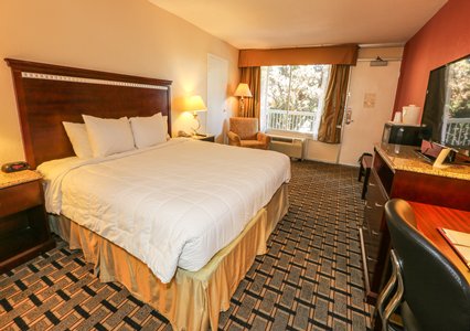 Quality Inn Hotel & Conference Center Tampa formerly the Clarion , FL 33612 near Tampa International Airport View Point 4