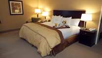 Doubletree Hotel Pittsburgh Airport , PA 15108 near Pittsburgh International Airport View Point 7