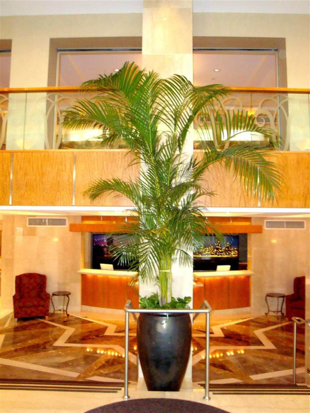 San Carlos Hotel 10