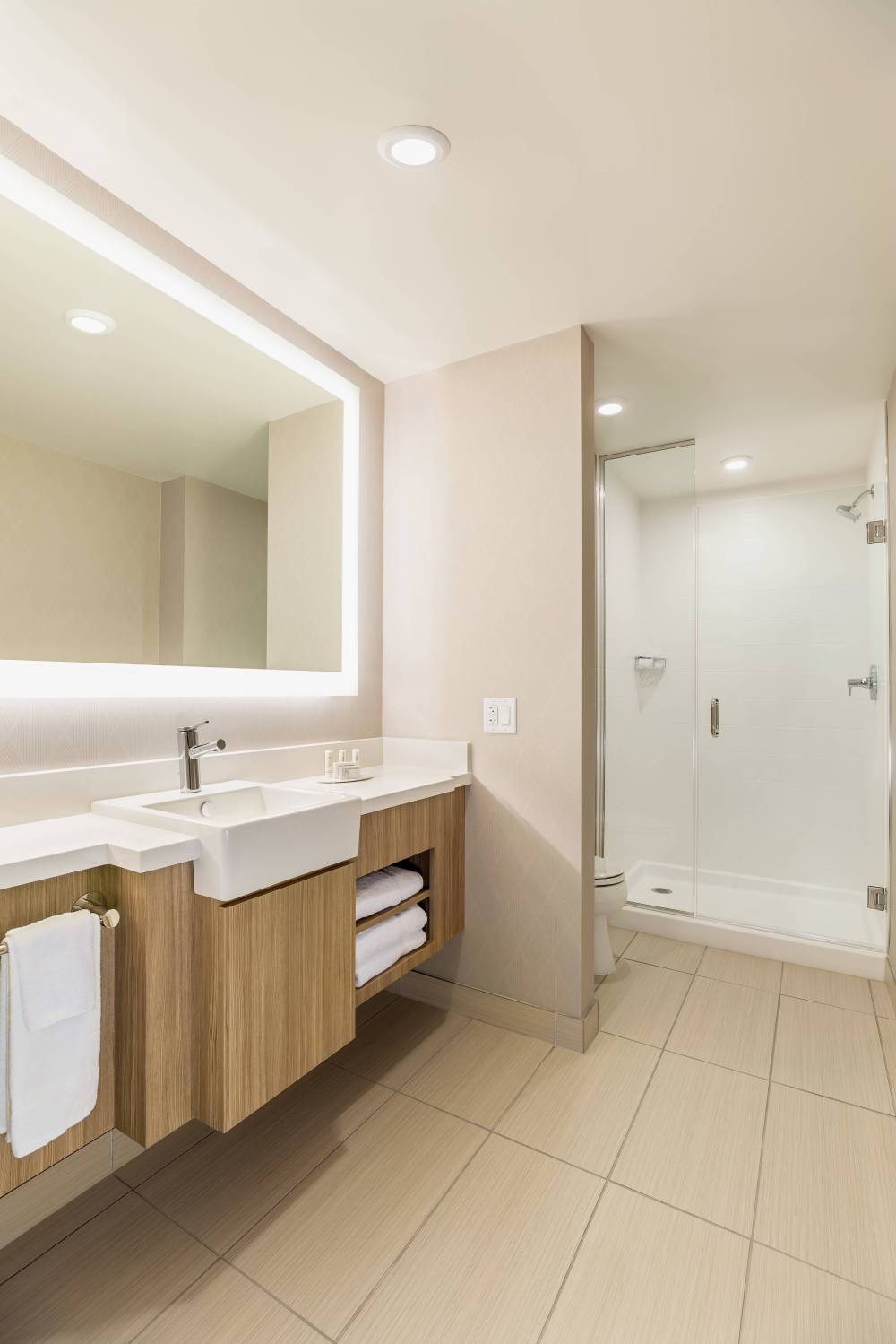 Springhill Suites By Marriott St Paul Downtown 1